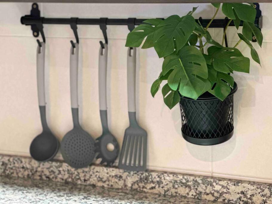 Apartamento El Picu Collanzo 외부 사진