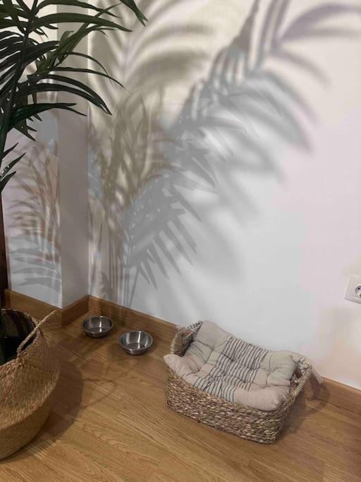 Apartamento El Picu Collanzo 외부 사진