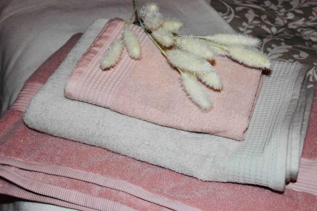 Apartamento El Picu Collanzo 외부 사진